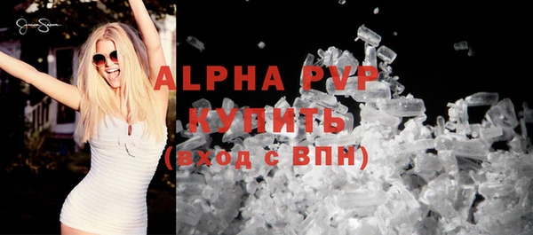 гидра Бородино