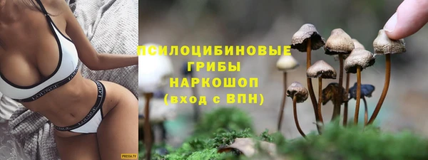 герыч Россошь
