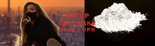 гидра Бородино