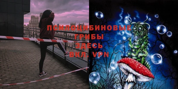 гидра Бородино