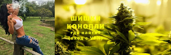 гидра Бородино