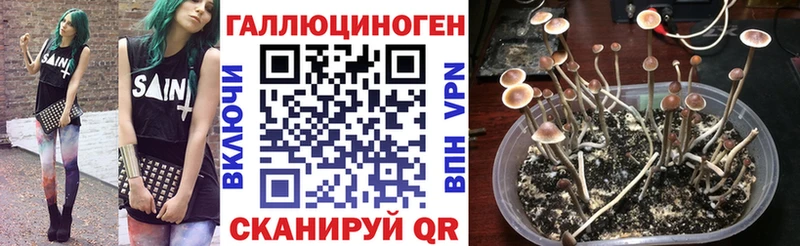 наркошоп Калининград Псилоцибиновые грибы мухоморы